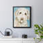 Labradoodle I, toile encadrée de qualité supérieure - prête à être accrochée-547013914-547013908