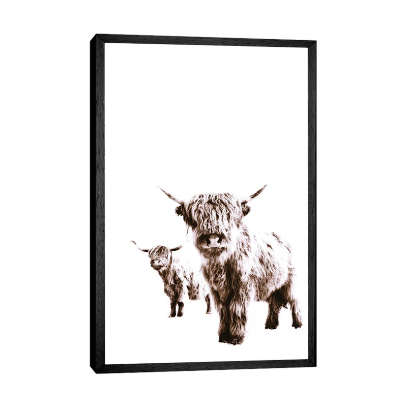 Highland Cows Lulu And Sara by Monika Strigel - Print on Canvas, 66.04cm H x 45.72cm W x 3.81cm D, Black Framed