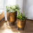 Pot Planter