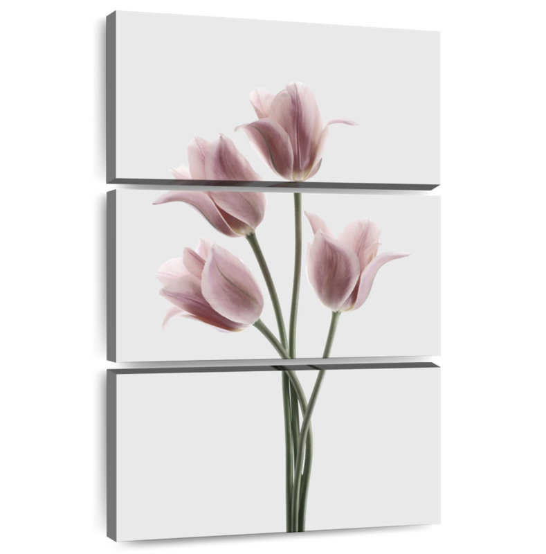 Harnek tulipes rose, H 38 po x l 24 po