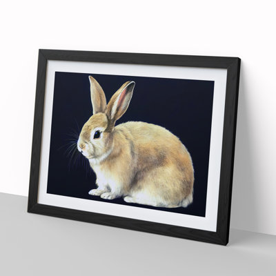Lone Rabbit - Single Picture Frame Print