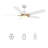 Demitrus 52" Smart Ceiling Fan With Remote, Light Kit IncludedWorks With Google Assistant And Amazon Alexa,Siri Shortcut.