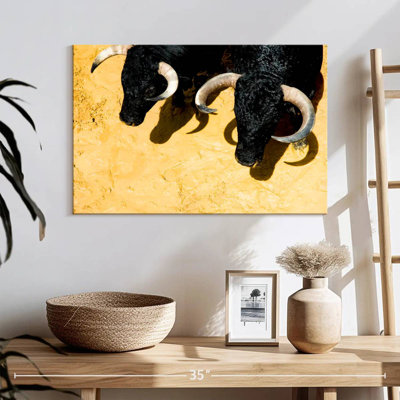 Fighting Bulls