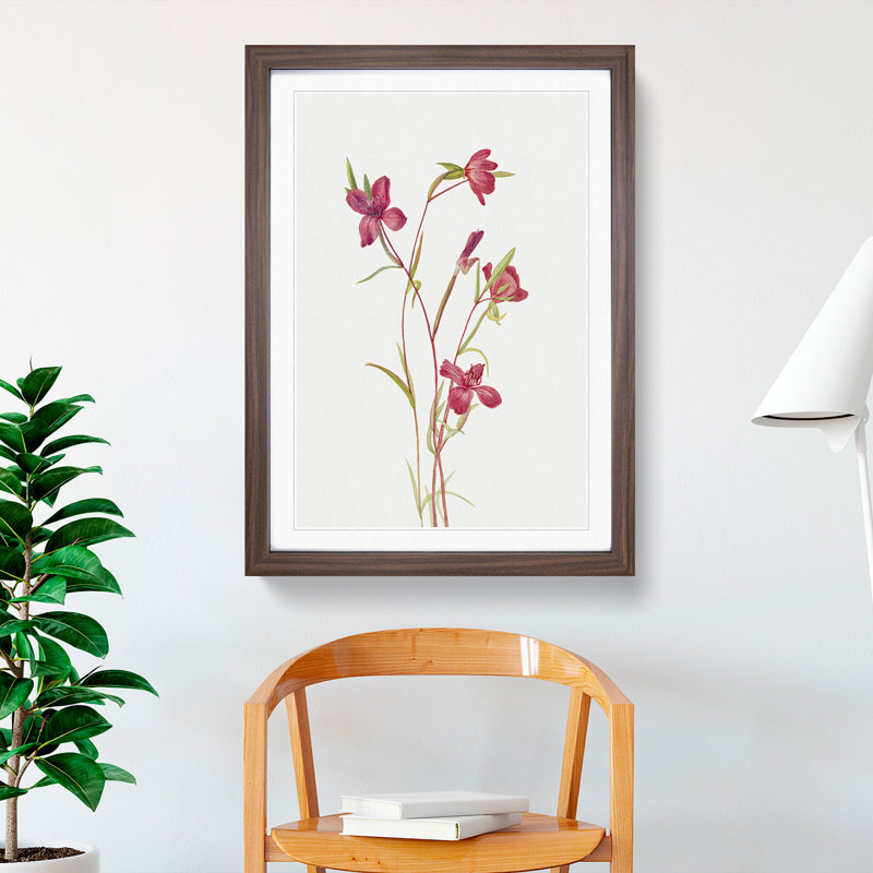 Farewell to Spring by Mary Vaux Walcott - Framed Print, Walnut Framed, 36cm H x 27cm W x 2cm D