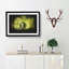 Marvellous Elephant in a Green Forest - Picture Frame Painting Print-56842919-56842917