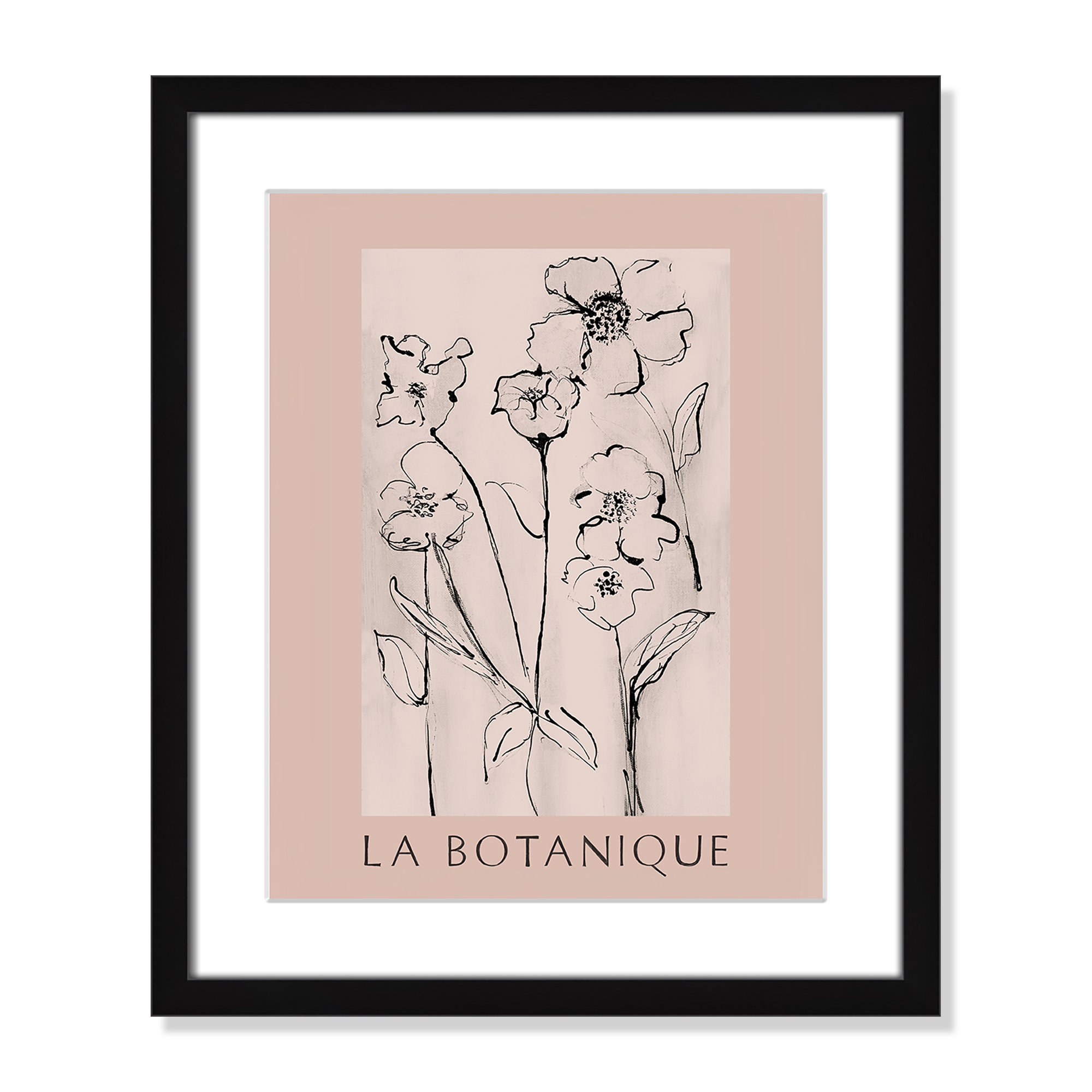 Botanical Poster Collection " La Botanique " by Susan Jill, 19" H x 16" W x 1.25" D, Black Single Picture Frame, Yes