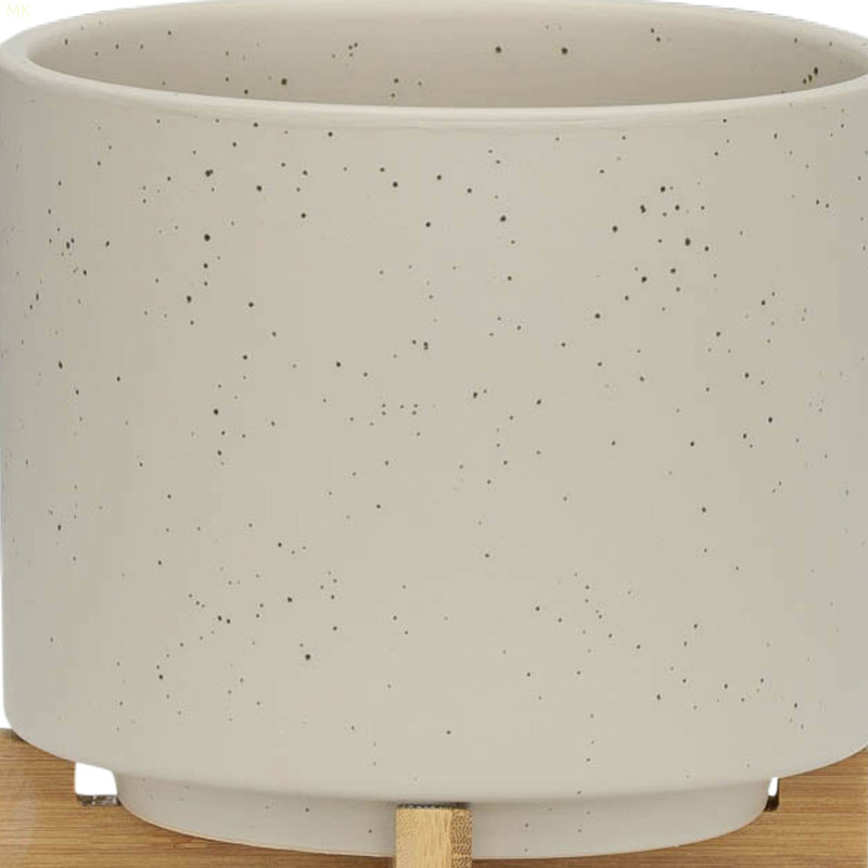 Jardinière S / 2 5/8 po avec support en bois