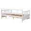 Lit de jour double en bois avec deux tiroirs, blanc (ancien SKU: LP000058AAK)-1311657883