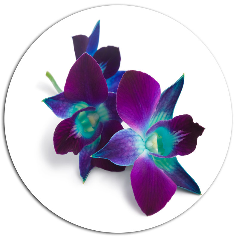 Deep Purple Orchid Flowers on White Metal Round Wall Art