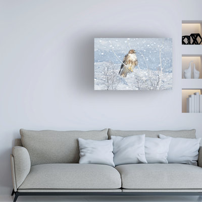 Bolog Jennie Marie Schell Hawk Snowy Day Canvas Art