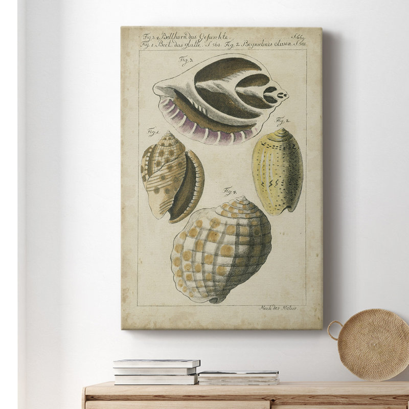 Étude de coquillage rétro I - peinture sur toile tendue, H 36 po x l 24 po x P 1 po