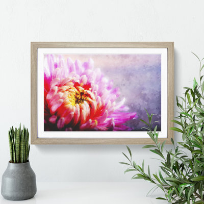 Pink Chrysanthemum Flower - Framed Print