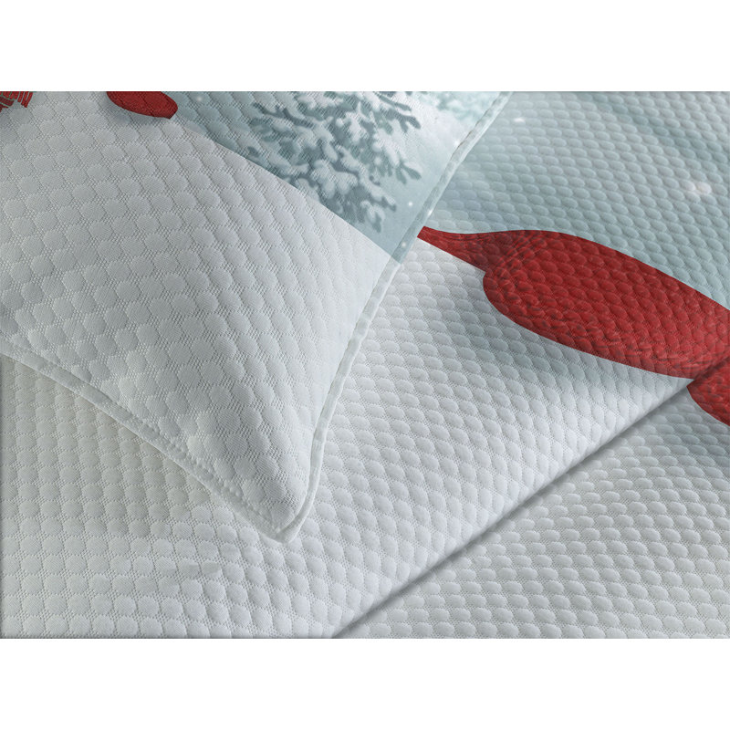 White Quilted Polyester Queen Bedspread Set with Pillow Shams