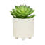 Jardinières texturées S / 2 6/8 po-1745971878
