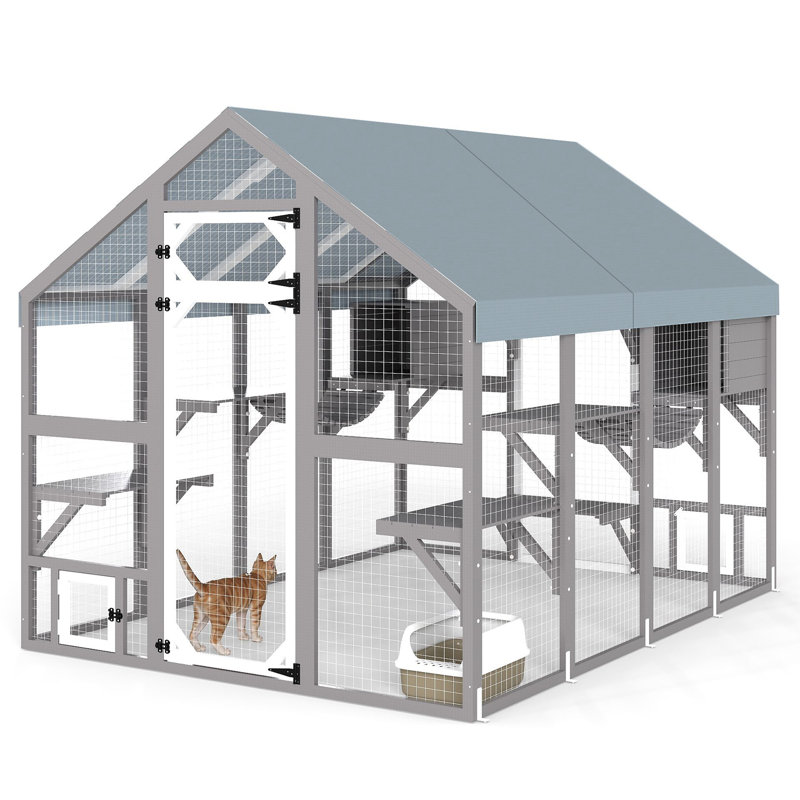 Enceinte d'extérieur pour chat L 69,9 po, H 70,87 po x l 69,7 po x P 94,5 po