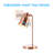 Bulluck Metal Desk Lamp
