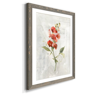 Lin Pois doux - Reproduction d'art graphique sur papier encadré