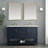 Vicini 54" Double Bathroom Vanity Set-1105960572