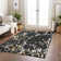 Machine Washable Indoor/Outdoor Chayden ACN1046 Black