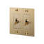 2G Toggle Switch / Logo-159313145