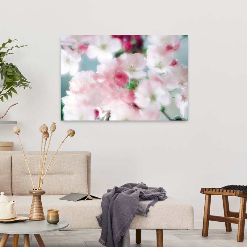 Fleurs de cerisier, gros plan, vue abstraite, art contemporain de fleurs de cerisier, H 24 po x l 36 po
