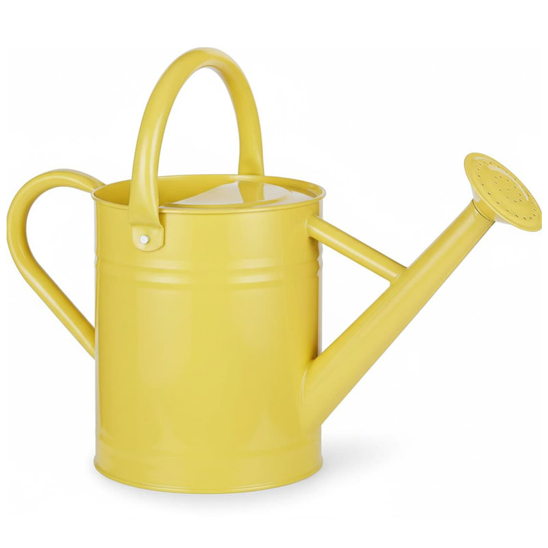 Metal Watering Can with Removable Spout, Galvanized 1 gal., Perfect for Indoor & Outdoor Use (Yellow), Yellow