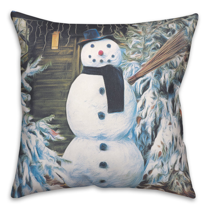 Throw Pillow, 18" H x 18" W