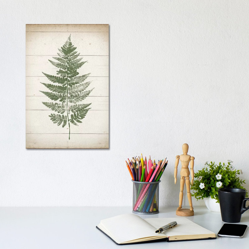 Fern Print I by Moira Hershey - Wrapped Canvas Painting, 20.32 cm H x 30.48 cm W