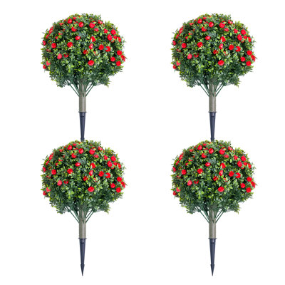 60cm Plant