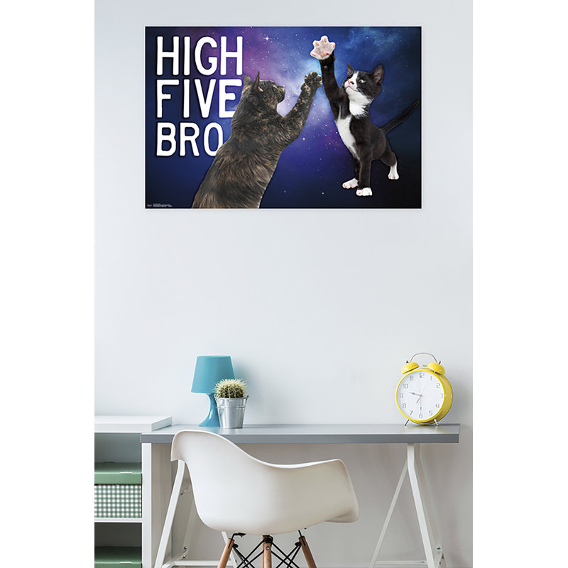 Chatons-impression sur papier de 5 hauteurs