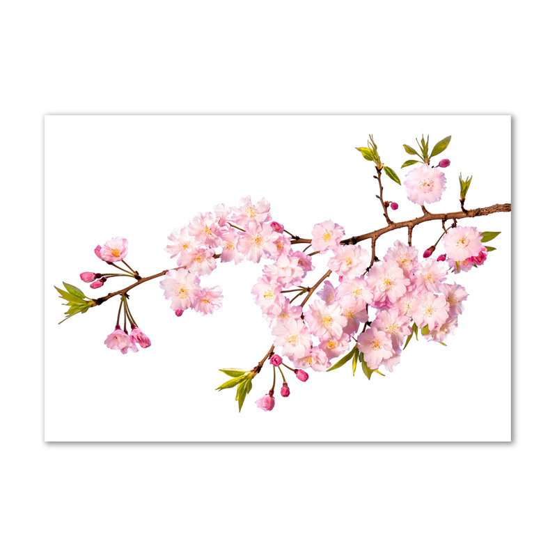 Wild Rose - Wrapped Canvas Print