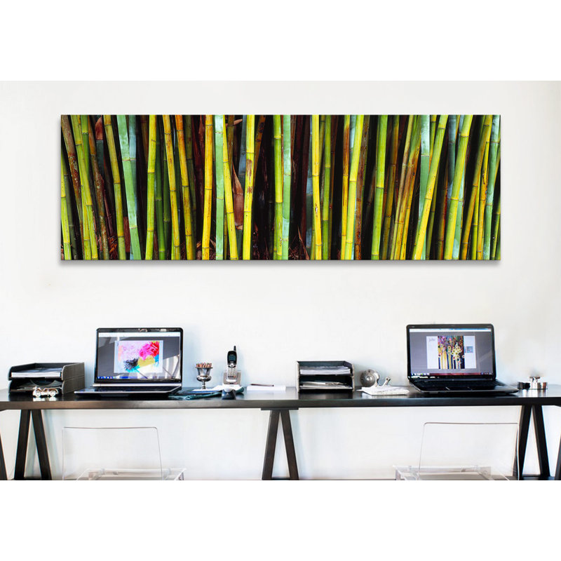 «Kanapaha Botanical Gardens, Florida», reproduction de photo sur toile, H 16 po x l 48 po x 1,5 po, Toile tendue