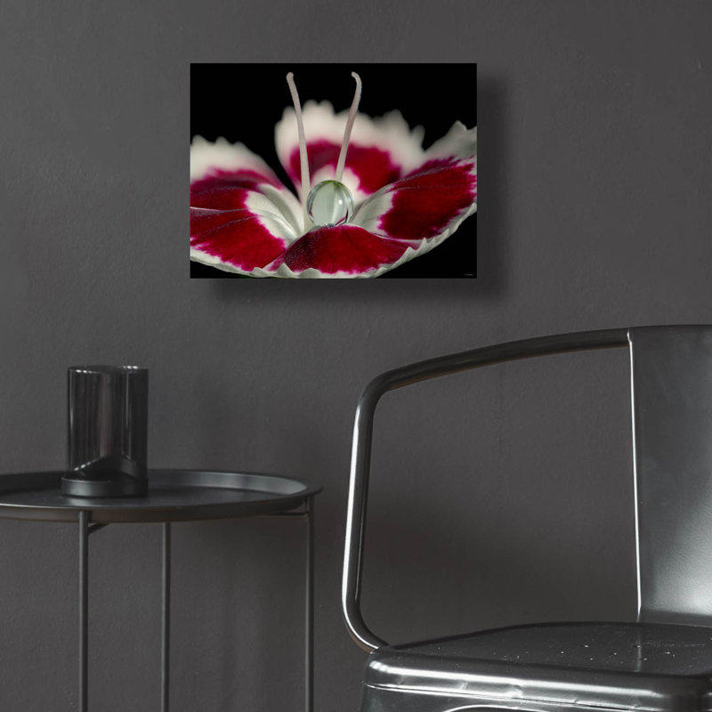 «Macro Flowers 12» par Gordon Semmens, H 12 po x l 16 po x P 0,13 po
