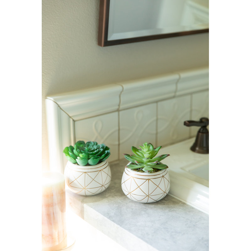 Ensemble de plantes grasses artificielles Gamache