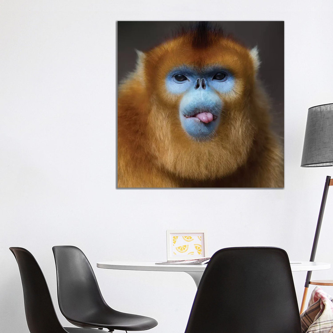 Golden Snub Nosed Monkey Cheeky by Mogens Trolle - Wrapped Canvas Print