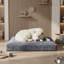 Lit pour chien Sanctuary-971919765-971919766