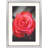 Metal Picture Frame-1938847062-1950320414