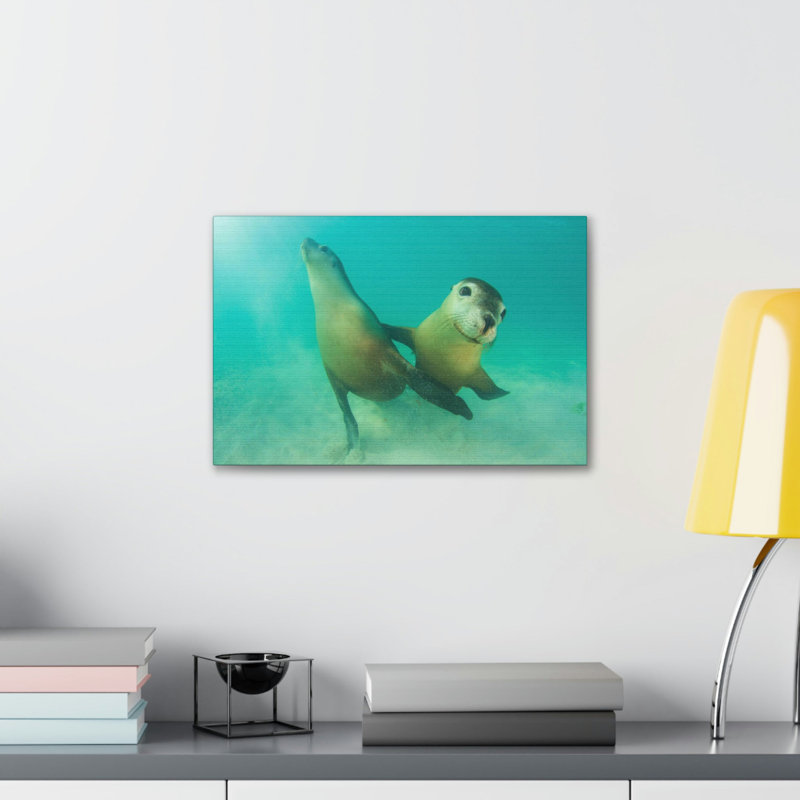 No Frame Print on Canvas, 30.48cm H x 45.72cm W