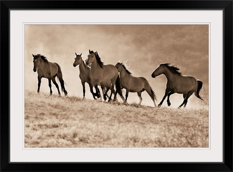 «Kemani Kick Dust» par Lisa Dearing, reproduction de photo, Cadre noir, H 20 po x l 26 po x P 1 po