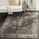 Reading Oriental Viscose Hand Woven Area Rug