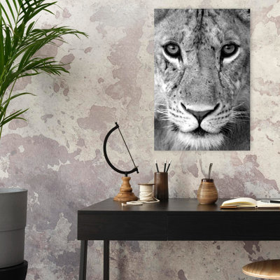 Gros plan sur une lionne Panthera, parc national Leo Tarangire, Tanzanie, art contemporain