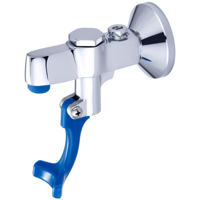 Central Brass Kitchen Faucet