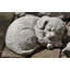 Curled Dog Statue-13914880
