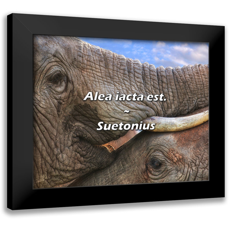 Suetonius Quote: Alea iacta est.