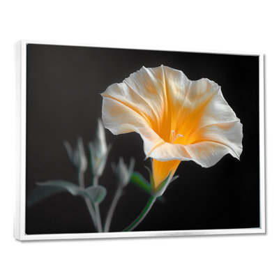 «White Yellow Whimsical Wonders Morning Glory - Morning Glory», reproduction d'art murale