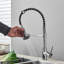 Belfry Kitchen Rydal Pull Down Kitchen Faucet