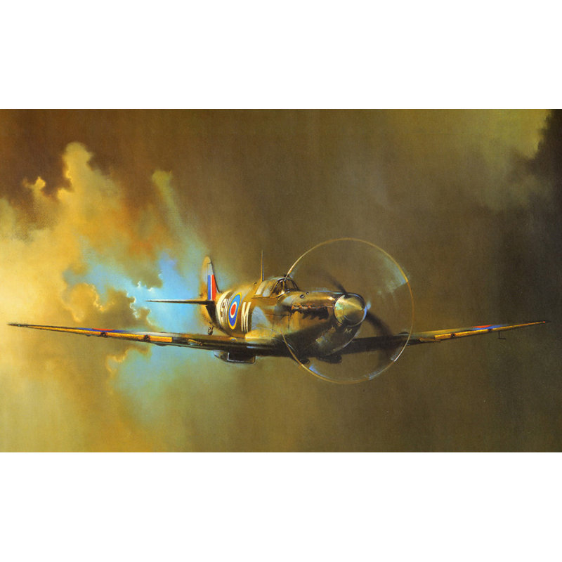 Spitfire, H 29 po x l 48 po