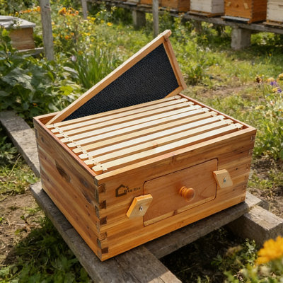 Boite de 10 ruches Langstoth Deep Brood