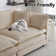 Hibbell Comfort U Shaped Couch With Reversible Chaise, Modular Large U-Shape Sectional Sofa, Double Extra Ottomans