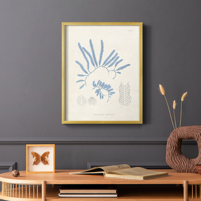 «Blue Marine Algae II», reproduction encadrée - bois massif, Or, H 20 po x l 16 po